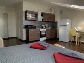 Apartments near Noblessner, Tallinn